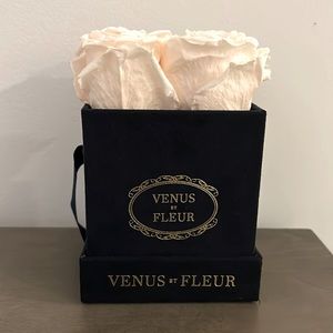 Venus Et Fleur 4 light pink roses